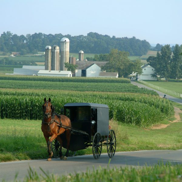 Amish in Ohio